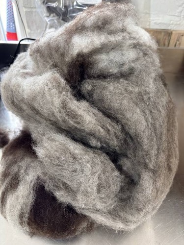 British jacob wool batt - british, carded