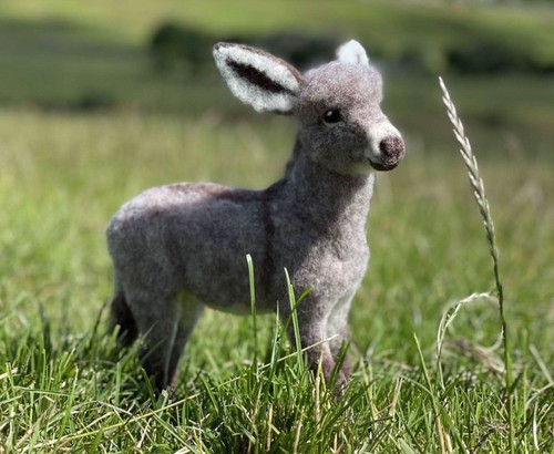 Needle felting kit - felting, "diego